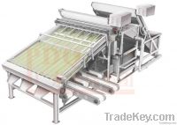 Shrimp Grading Machine