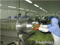 Green Bean Heading Cutting Machine