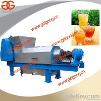 Double Screw Juice Extractor