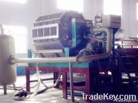 Egg Tray Machine