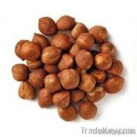 Raw Kernel (Hazelnut)