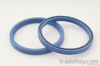 PTFE spring energized seal