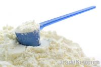 Milk Powder