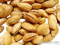 Almond badam