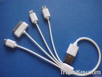 4-in-1 Multifunction Cable for iPhone 5, 4S/iPad Mini/Galaxy i9100/i93