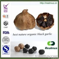 new health care food of black garlic