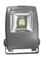 Flood Light 10W-100W COB Flood light for sale