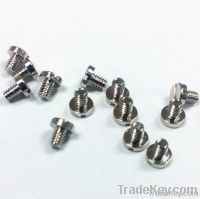 Precision stainless steel CNC turned eyewear screw