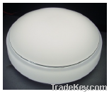 LED Ceiling Light