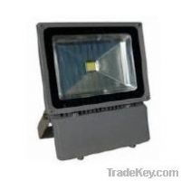 LED Flood light