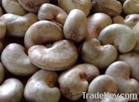 High Quality Cashew Nuts | Dried Fruits | W240 Cashew Nuts Suppliers | W320 Cashew Nut Exporters | Buy  WW230 Cashew Nut