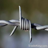 barbed wire