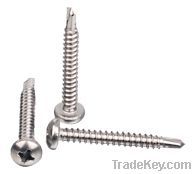 Self Drilling Screw(Pan Head)