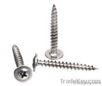 Self Tapping screws (Modify Truss Head )