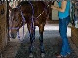 Comfortable Rubber Horse Stall Mat