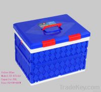 Plastic Folding Storage Case