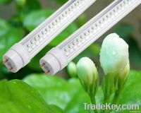 led T8 tube light T5 tube