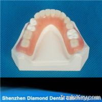 2013 Dental valpast partial and full denture