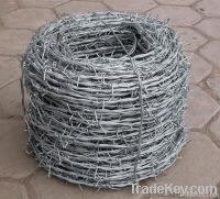 razor  barbed  wire mesh