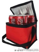 cooler bag