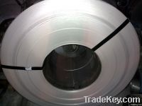 Stainless Steel Coil