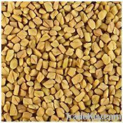 Fenugreek Seeds