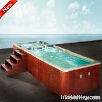 Hot sale Multifunction new spa swimming pool spa(SR820)