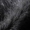 Black Fox Fur