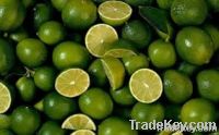 Fresh Lime & Lemon