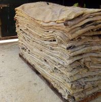 Dry/Wet Salted Cow/Donkey/Sheep/ And Goat Hides