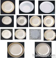 disposable new design plastic plate