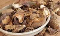 DRIED MUSHROOMS AT GOOD PRICE