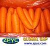 Chinese fresh carrot