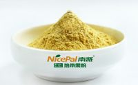 Natural Instant Mango Juice Powder/ Mango Powder Juice Drink
