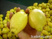 Fresh Lemon