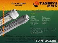 LED T8 Tube