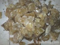 GUM COPAL