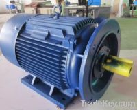 AC Induction Motors