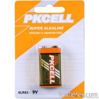 LR20 D Alkaline cell dry battery