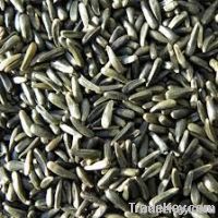 Melon seeds, Poppy seed, Moringa, Musk seeds, Nutmeg, Evening primrose, Nee