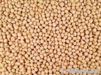 Soybeans , Vigna Beans, Mung Beans, Broad Beans, Butter Beans , Chickpe