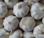 pure white garlic