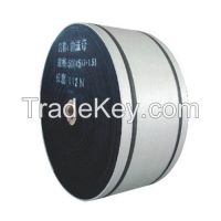 Nylon Conveyor Belt