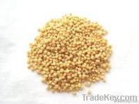 textured soy protein