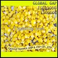 Frozen Sweet Kernels Corn