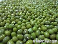 Mung Beans