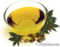 Plant Oil