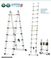 Telescopic Ladder