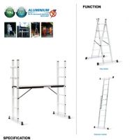 Scaffold Ladder