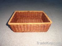 Fern basket